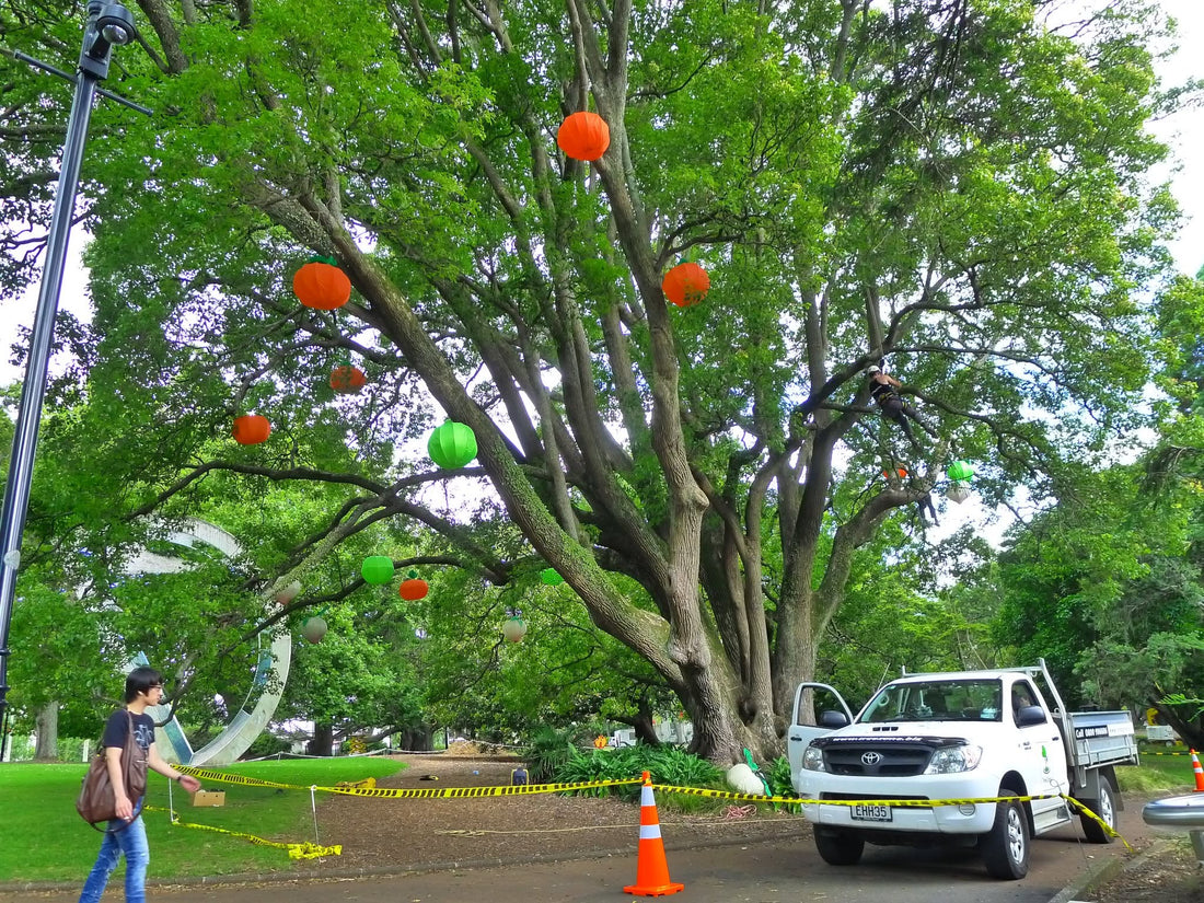TreeZone Ltd at the Chinese Lantern Festival