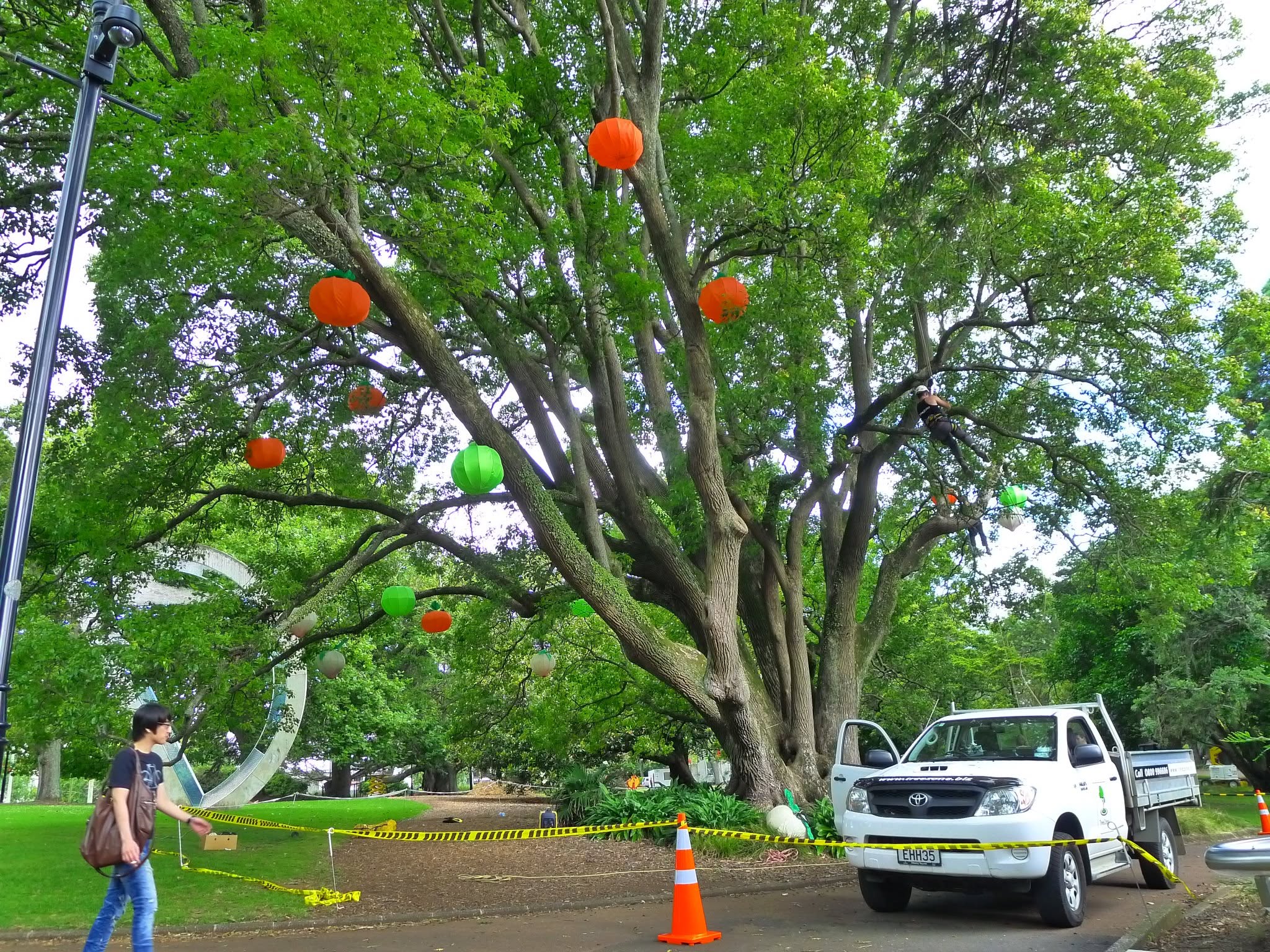TreeZone Ltd at the Chinese Lantern Festival