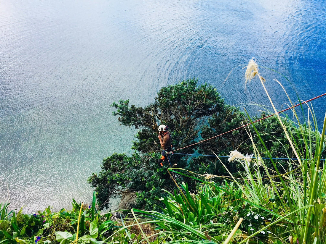 This Arborist Job was a real “Cliff Hanger”